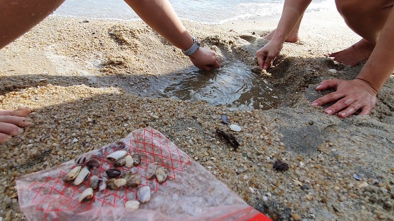 Picnic at Tanjung Asam