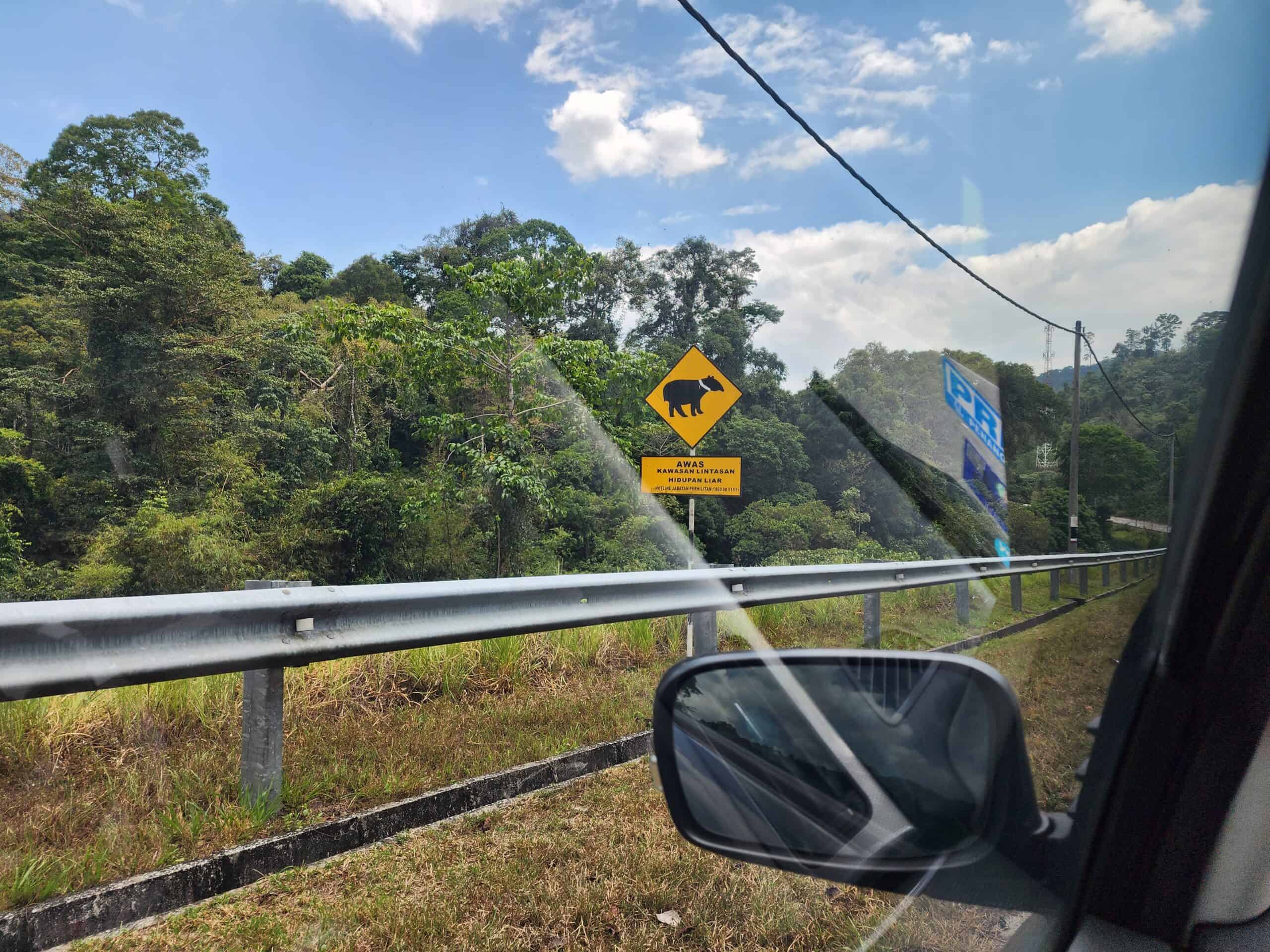 探索東西大道：馬來西亞最危險最美麗自駕遊路線