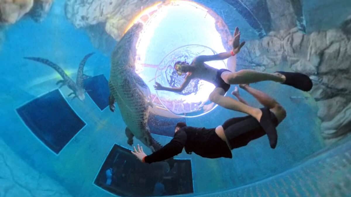 為什麼旅行必備一台 insta360 x5 01