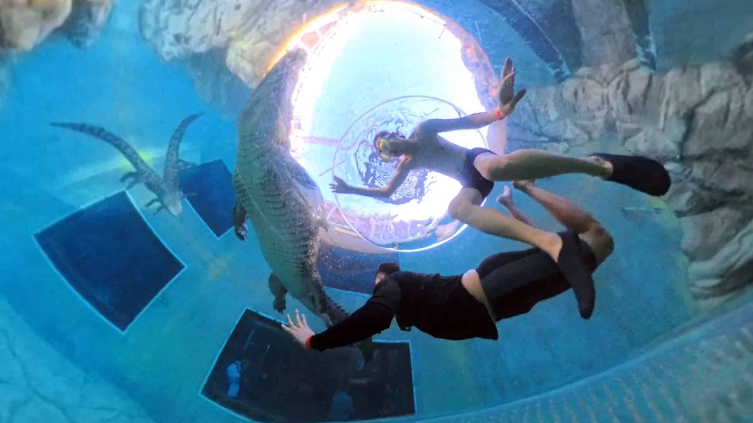 為什麼旅行必備一台 insta360 x5 01